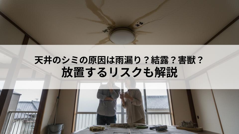 天井のシミの原因は雨漏り？結露？害獣？放置するリスクも解説
