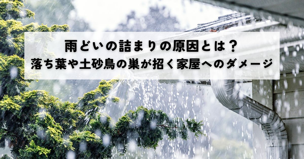雨どいの詰まりの原因とは？落ち葉や土砂鳥の巣が招く家屋へのダメージ
