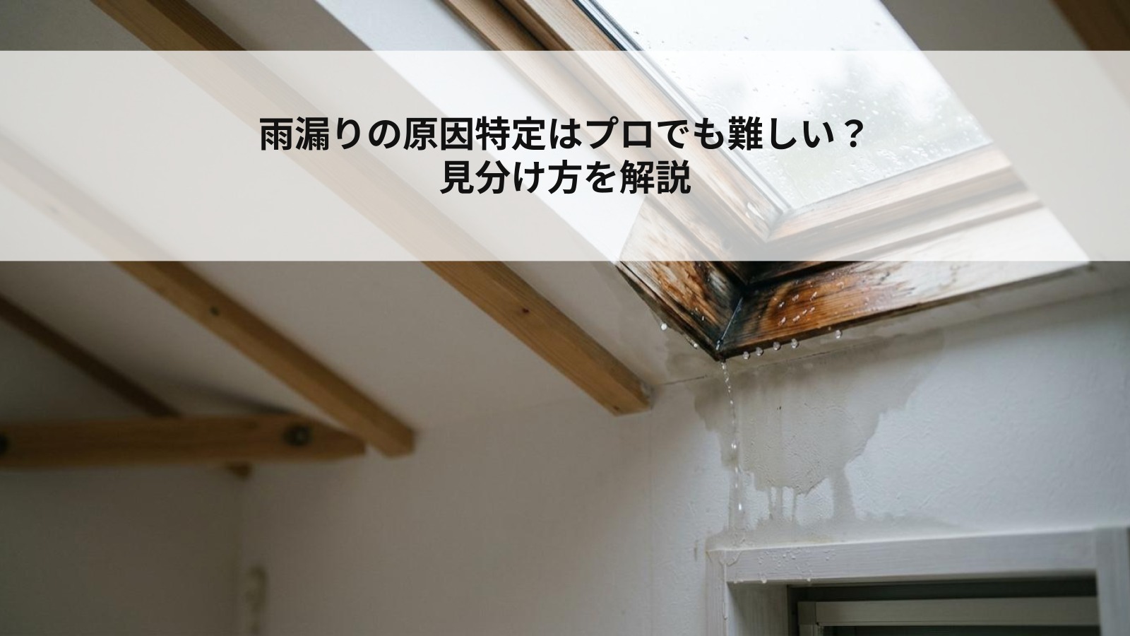 雨漏りの原因特定はプロでも難しい？見分け方を解説